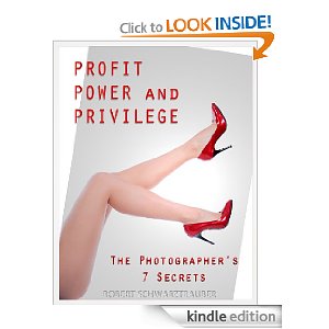 power, profit and privilege